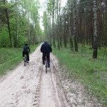 piaszczysto, ale malowniczo - kierunek Wiśniew Kolonia