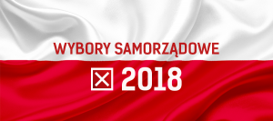 wybory-2018-tlo